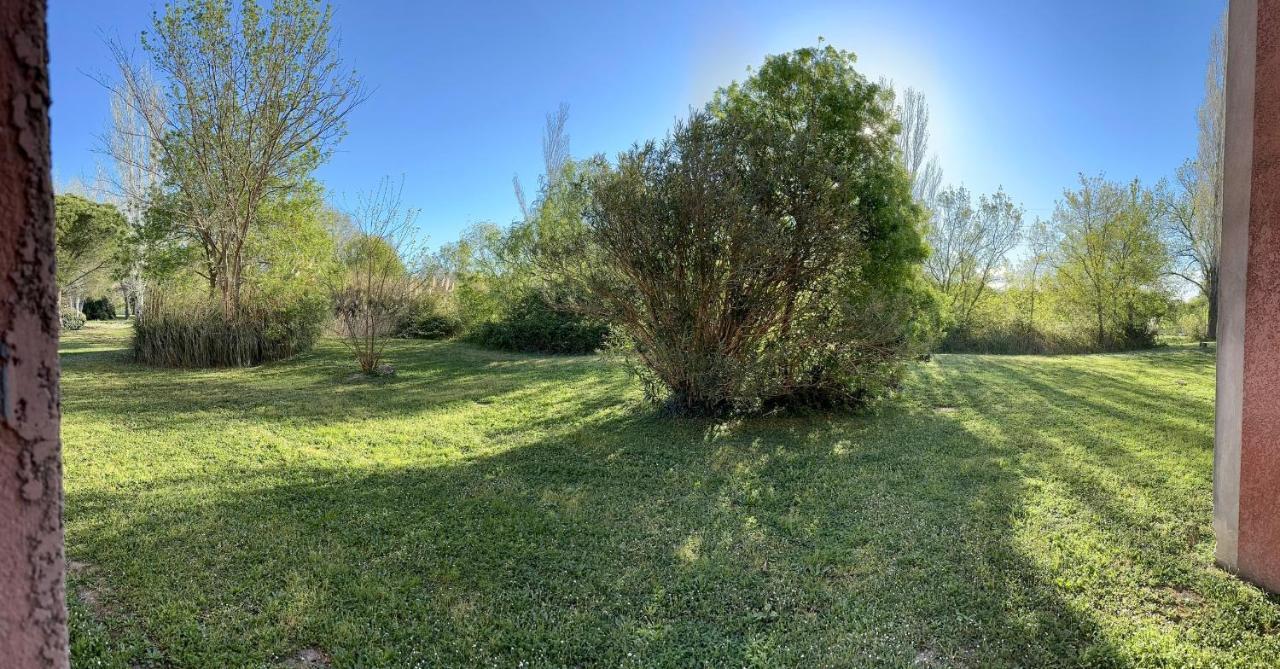 Apartament Nid Douillet Avec Terrasse Au Calme Arles Zewnętrze zdjęcie